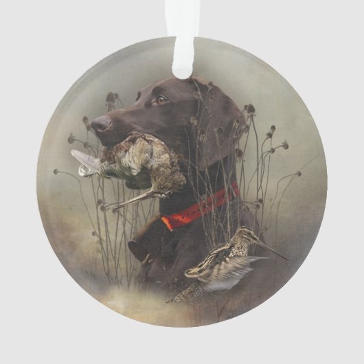 Pointeurs allemands à poils courts (dos)