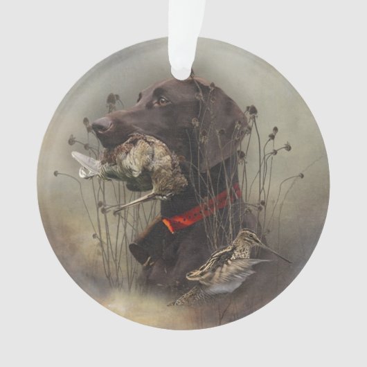 Pointeurs allemands à poils courts (devant)