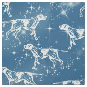 Pointeurs Dans Le Tissu Stars (Échantillon)