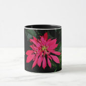 Pointsettia 3 mok (Midden)