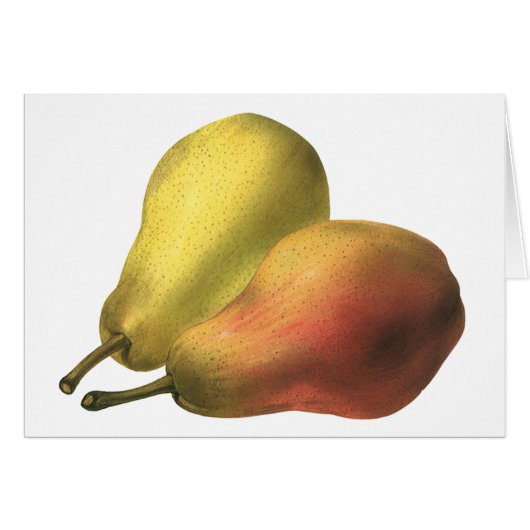 Poires vintages, Aliments Bio, Fruits Ripe (Devant horizontal)