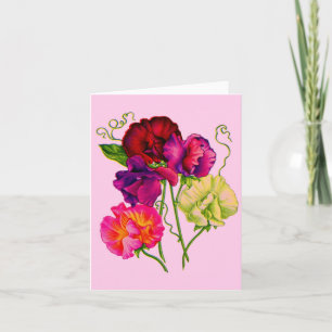 pois doux en violet et rose