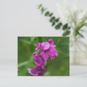 Pois doux jolie Fleur sauvage rose carte postale (Debout devant)