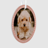 Pois modernes et jouant Pots animal de compagnie C (devant)