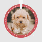 Pois modernes et jouant Pots animal de compagnie C (dos)