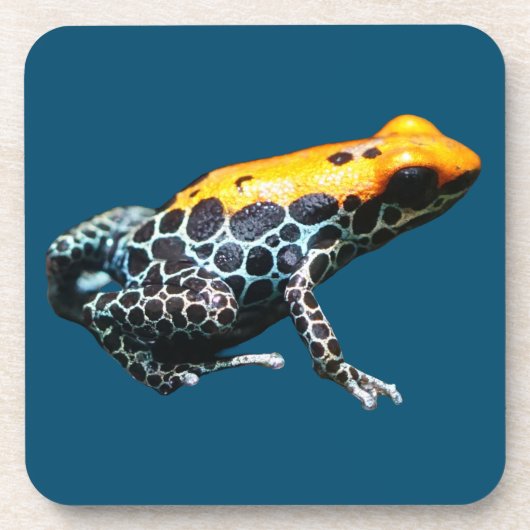 Poison Dart Frog Bier Onderzetter (Voorkant)