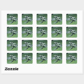Poison Dart Frog (Dendrobates auratus) Cahuita Vierkante Sticker (Vel)
