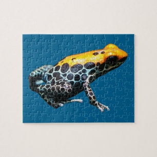 Poison Dart Frog Legpuzzel