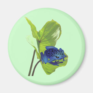 Poison Dart Frog Magneet