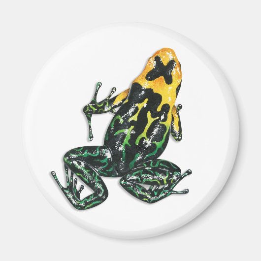 Poison Dart Frog Magnet Magneet (Voorkant)