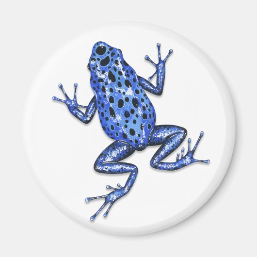 Poison Dart Frog Magnet Magneet (Voorkant)
