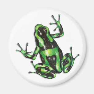 Poison Dart Frog Magnet Magneet