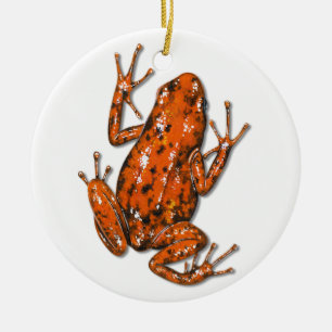 Poison Dart Frog Ornament