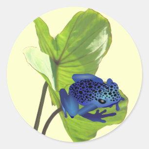 Poison Dart Frog Ronde Sticker