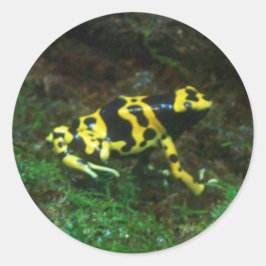 Poison Dart Frog Ronde Sticker