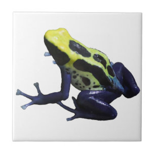 Poison Dart Frog Tegeltje