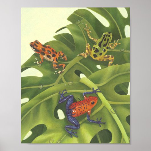 Poison Dart Frogs Poster (Voorkant)