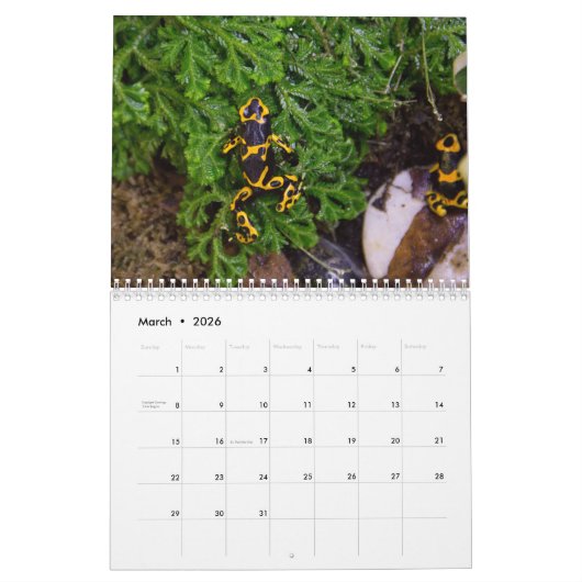 Poison dart grenouilles calendrier 2025 (Mar 2026)