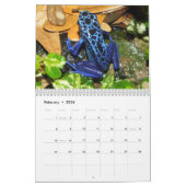 Poison dart grenouilles calendrier 2025 (Feb 2026)