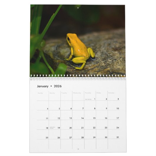 Poison dart grenouilles calendrier 2025 (Jan 2026)