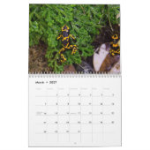 Poison dart grenouilles calendrier 2025 (Mar 2027)