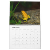 Poison dart grenouilles calendrier 2025 (Jan 2027)