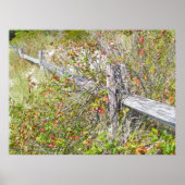 Poison et clôture Ivy IBSP NJ Poster (Devant)