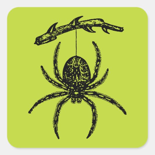 Poison Green Spider Vierkante Sticker (Voorkant)