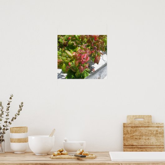 Poison Ivy Poster (Cuisine)