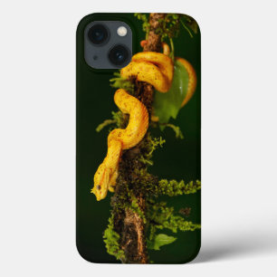 Poison Viper Snake uit Costa Rica iPhone 13 Hoesje