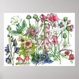 Poisoneus Plant Herbs Waterverf Flowers Poster