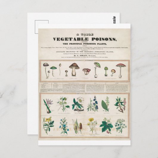 Poisonisch Plant  Botanisch Briefkaart (Voorkant / Achterkant)