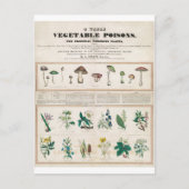 Poisonisch Plant  Botanisch Briefkaart (Voorkant)