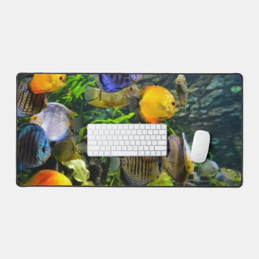 POISSON (Clavier et souris)