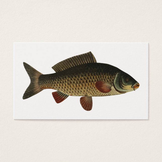 Poisson (Devant)