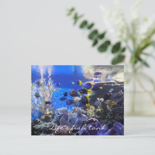 Poisson 2 carte postale (Debout devant)