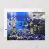 Poisson 2 carte postale (Devant / Derrière)