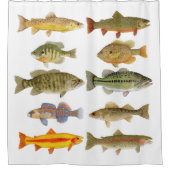 Poisson 2 rideau de douche (Devant)