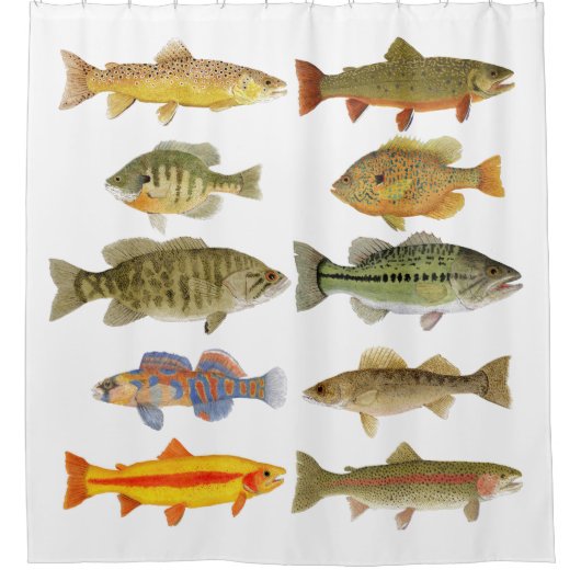 Poisson 2 rideau de douche (Devant)