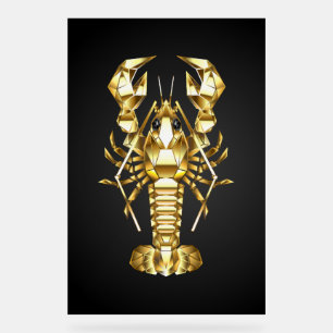 Poisson à langouste polygonale dorée sur noir
