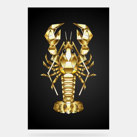 Poisson à langouste polygonale dorée sur noir (Recto)