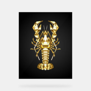Poisson à langouste polygonale dorée sur noir