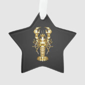 Poisson à langouste polygonale dorée sur noir (dos)