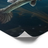 Poisson Alligator Poisson Poisson Imprimer Poster (Coin)