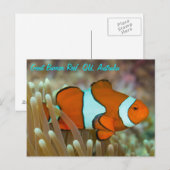 Poisson clown sur la carte postale de la Grande Ba (Devant / Derrière)