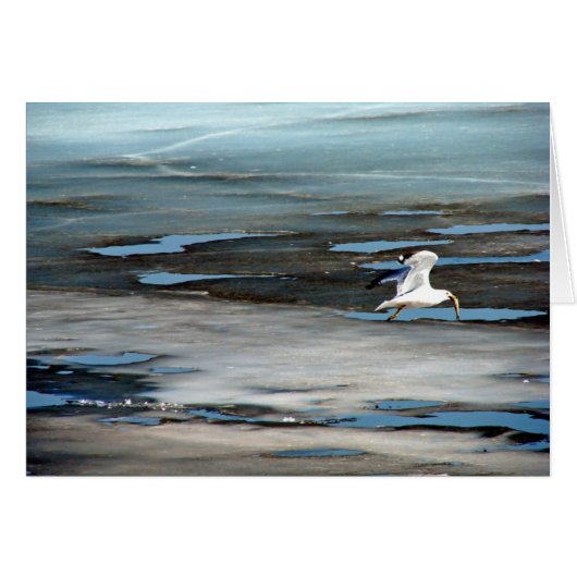 Poisson dans la bouche (Devant horizontal)