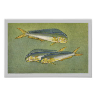 Poisson Dauphin Impression poisson Vintage