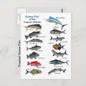 Poisson de jeu de la carte postale de l'Atlantique (Devant / Derrière)