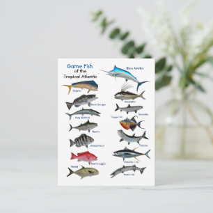 Poisson de jeu de la carte postale de l'Atlantique