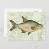 Poisson d'eau douce sur la carte (Devant / Derrière)